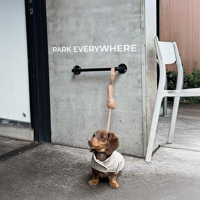 Show full view: Maison FurRéal ChocoLéash Ultra Lightweight Retractable Dog Leash, Mocha Mousse, 9-ft long, 1.75-in wide slide 5 of 12