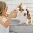 Show in main carousel: Lanana Creek Farms Medicated Dog Ear Wash, 7.7-oz bottle slide 3 of 5