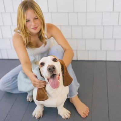 Show full view: Lanana Creek Farms Medicated Dog Ear Wash, 7.7-fl oz bottle slide 5 of 5