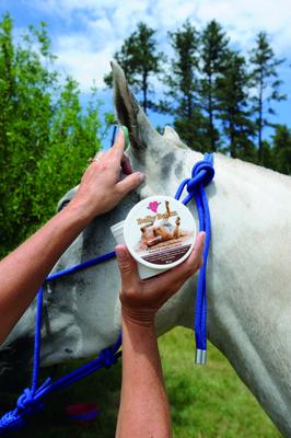 Show full view: Tail Tamer by Professional's Choice Underbelly Horse Bug Balm, 16-oz jar slide 2 of 2