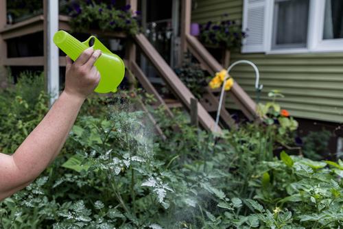Show full view: My Favorite Chicken Powder Sulphur, Lime Hand Duster, Green slide 6 of 8