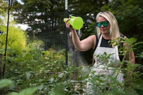 Show full view: My Favorite Chicken Powder Sulphur, Lime Hand Duster, Green slide 4 of 8