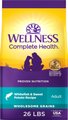 Wellness Complete Health Adult Whitefish & Sweet Potato Recipe Dry Dog Food, 26-lb bag