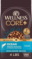 Wellness CORE+ Wholesome Grains Ocean Recipe High Protein Dry Dog Food, 4-lb bag