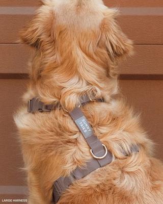 Show full view: Sunny Tails Cloud Lite Waterproof Dog Harness, Espresso Brown, Medium: 20 to 29-in chest slide 5 of 10