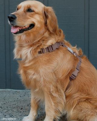 Show full view: Sunny Tails Cloud Lite Waterproof Dog Harness, Espresso Brown, Small: 15 to 21-in chest slide 5 of 9
