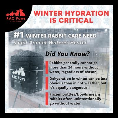 Show full view: RAC Paws by RentACoop Zero Chill Heated Small Animal Waterer with Insulated Cover, 64-oz slide 4 of 10