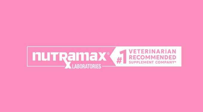 Nutramax Proviable Probiotics & Prebiotics Capsules Digestive Supplement for Cats & Dogs