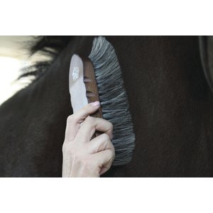 Tail Tamer by Professional's Choice Wood Natural Horse Hair Brush, Natural, Large