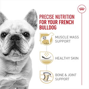 Royal Canin Breed Health Nutrition French Bulldog Adult Dry Dog Food, 17-lb bag