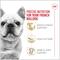 Show in main carousel: Royal Canin Breed Health Nutrition French Bulldog Adult Dry Dog Food, 30-lb bag slide 5 of 14