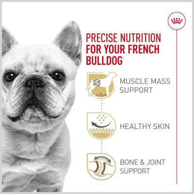 Show full view: Royal Canin Breed Health Nutrition French Bulldog Adult Dry Dog Food, 30-lb bag slide 5 of 14