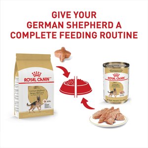 Royal Canin Breed Health Nutrition German Shepherd Adult Dry Dog Food, 30-lb bag