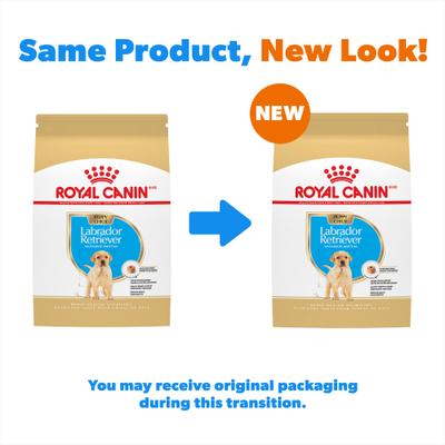 Show full view: Royal Canin Breed Health Nutrition Labrador Retriever Puppy Dry Dog Food, 30-lb bag slide 3 of 13