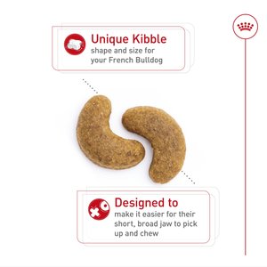 Royal Canin Breed Health Nutrition French Bulldog Adult Dry Dog Food, 17-lb bag