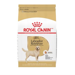 Royal Canin Breed Health Nutrition Labrador Retriever Adult Dry Dog Food, 30-lb bag