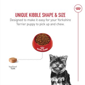 Royal Canin Breed Health Nutrition Yorkshire Terrier Puppy Dry Dog Food, 2.5-lb bag