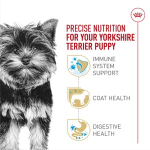 Royal Canin Breed Health Nutrition Yorkshire Terrier Puppy Dry Dog Food, 2.5-lb bag