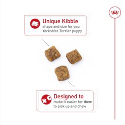 Royal Canin Breed Health Nutrition Yorkshire Terrier Puppy Dry Dog Food, 2.5-lb bag slide 2 of 9