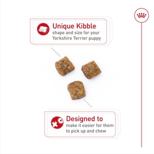 Royal Canin Breed Health Nutrition Yorkshire Terrier Puppy Dry Dog Food, 2.5-lb bag