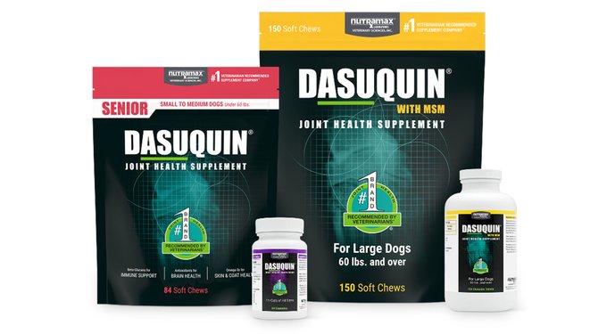 Nutramax Dasuquin Hip & Joint Soft Chews Joint Supplement for Small & Medium Dogs
