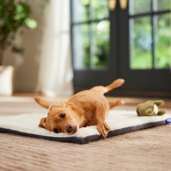 Frisco Self-Warming Reversible Cat & Dog Mat, Gray, 24"