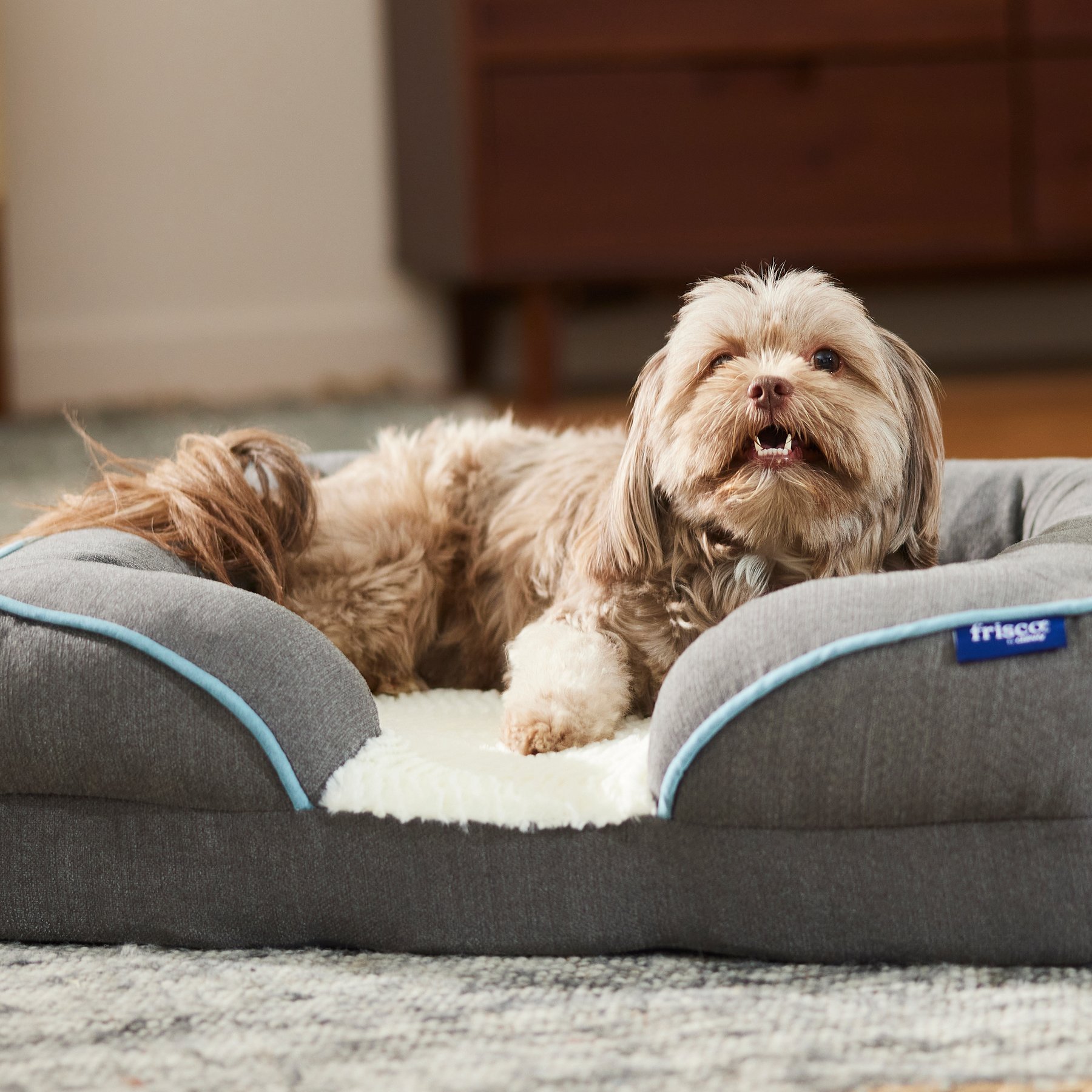 Frisco Plush Orthopedic Front Bolster Cat & Dog Bed w/Removable Cover, Gray, Small