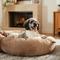 Show in main carousel: Frisco Velvet Round Bolster Dog Bed w/Removable Cover, Beige, X-Large slide 1 of 9