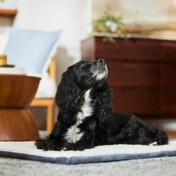 Frisco Self-Warming Reversible Cat & Dog Mat, Gray, 30"