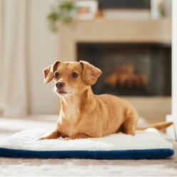 Frisco Self-Warming Reversible Cat & Dog Mat, Blue, 24"