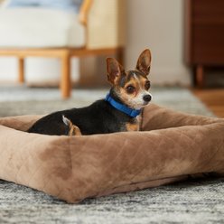 Frisco Velvet Quilted Bolster Cat & Dog Bed, Beige, Small
