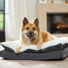 Frisco Plush Orthopedic Pillowtop Dog Bed w/Removable Cover, Gray, Large