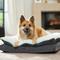 Show in main carousel: Frisco Plush Orthopedic Pillowtop Dog Bed w/Removable Cover, Gray, Large slide 1 of 10