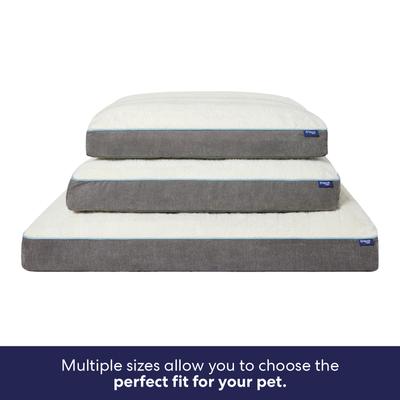 Show full view: Frisco Orthopedic Pillow Cat & Dog Bed with Removable Cover, Gray, Large slide 6 of 9
