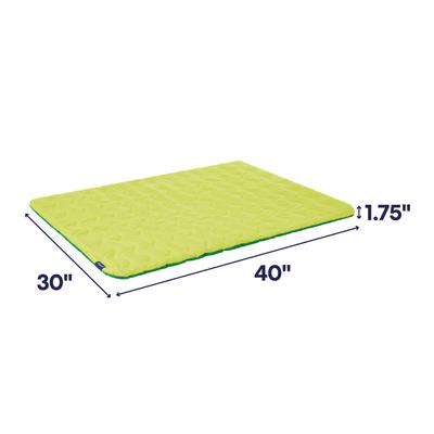 Show full view: Frisco Travel Pillow Dog Mat Bed with Reusable Storage Bag, Retro Green, Large slide 2 of 9