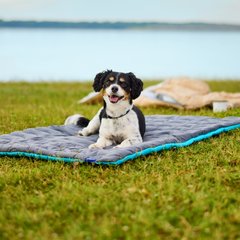 Frisco Travel Pillow Dog Mat Bed with Reusable Storage Bag, Blue Curaçao, Large