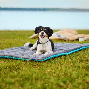 Frisco Travel Pillow Dog Mat Bed with Reusable Storage Bag, Blue Curaçao, Large