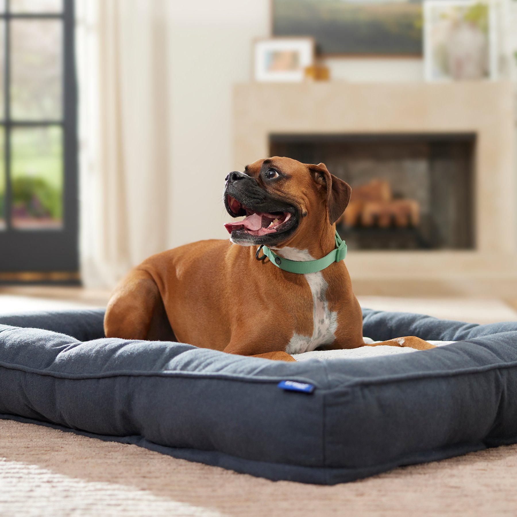 Frisco Faux Felt Orthopedic Bolster Dog & Cat Bed with Removable Cover, Gray, X-Large