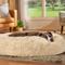 Show in main carousel: Frisco Long Faux Fur Donut Cat & Dog Bed, Sand, X-Large slide 1 of 10