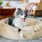 Show in main carousel: Frisco Long Faux Fur Donut Cat & Dog Bed, Sand, Large slide 1 of 9
