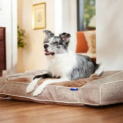 Frisco Orthopedic Sofa Cat & Dog Bed with Removable Cover, Beige, Large