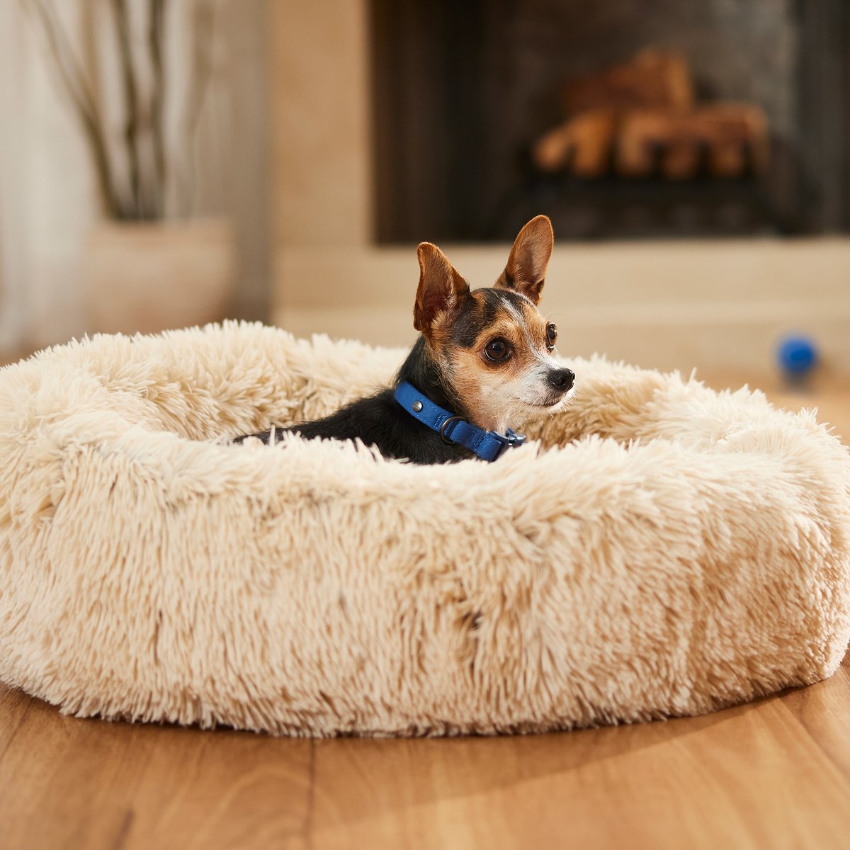 Eyelash Cat & Dog Bolster Bed, Sand, Small, Frisco