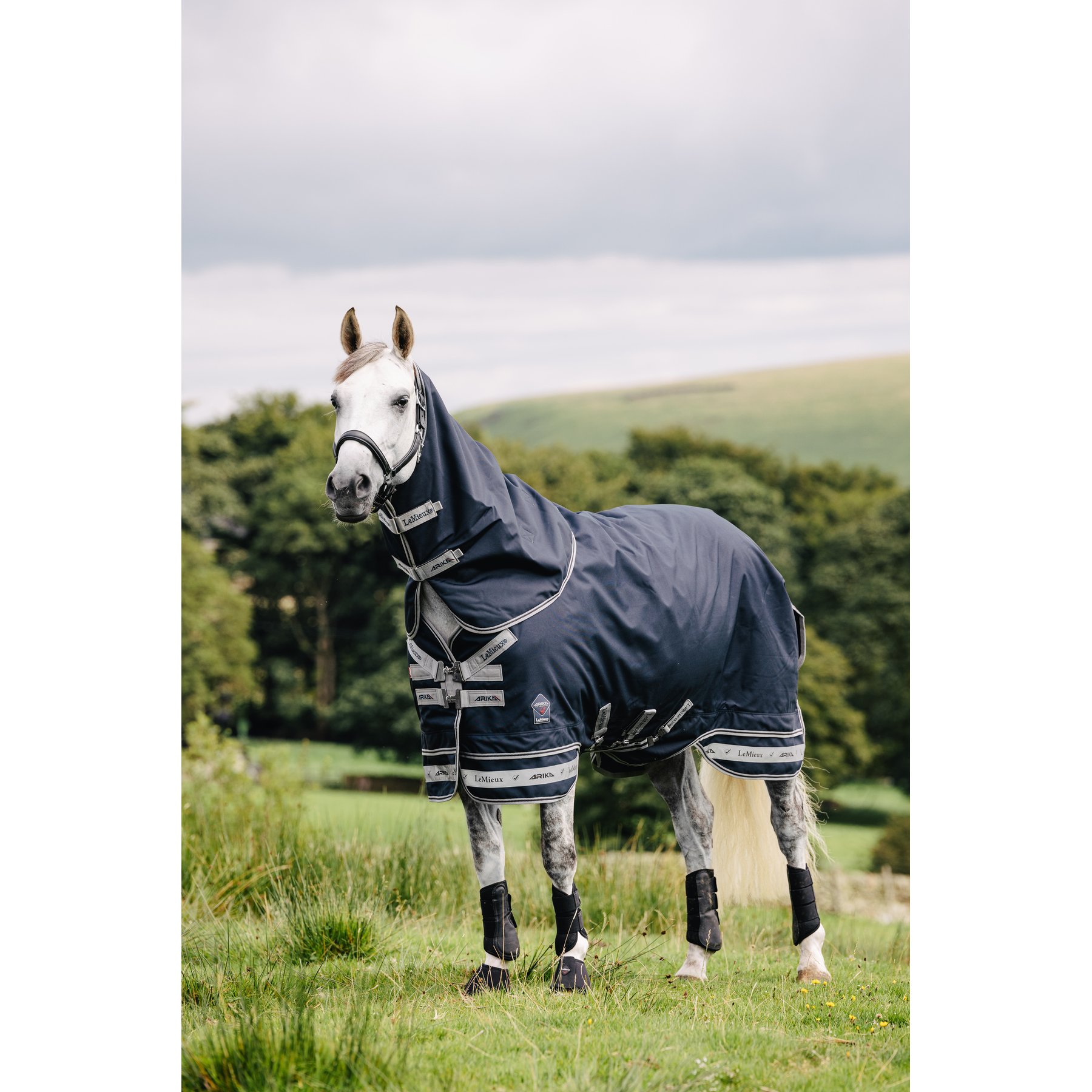 LeMieux Arika Storm-Tek 100g Horse Blanket, Navy, 60-in