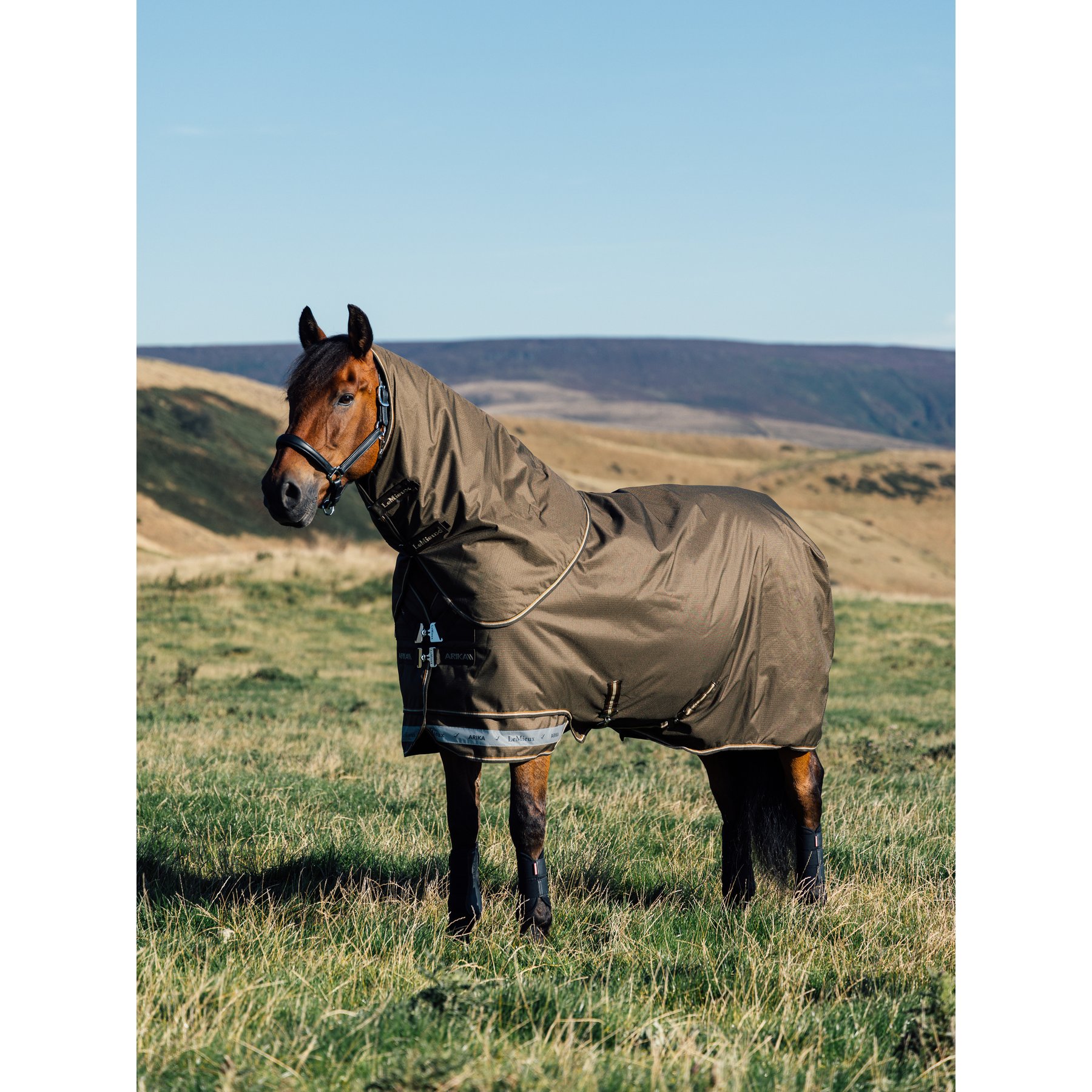 LeMieux Arika Ripstop 200g Horse Turnout Blanket, Alpine, 57-in