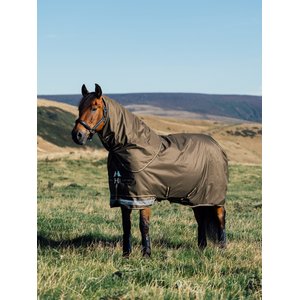 LeMieux Arika Ripstop 200g Horse Turnout Blanket, Alpine, 84-in