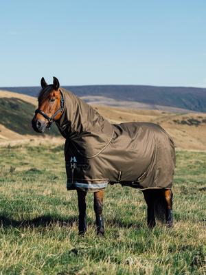 Show full view: LeMieux Arika Ripstop 0g Horse Turnout Blanket, Alpine, 78-in slide 4 of 5