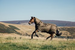 LeMieux Arika Ripstop 200g Horse Turnout Blanket, Alpine, 81-in slide 2 of 4