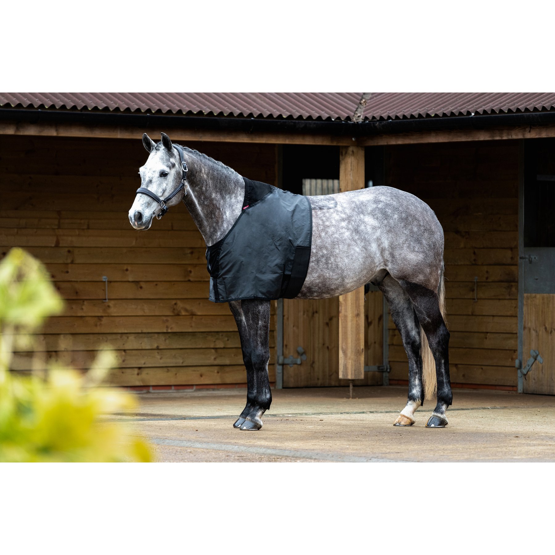 LeMieux Horse Anti Rub Bib, Black, Large