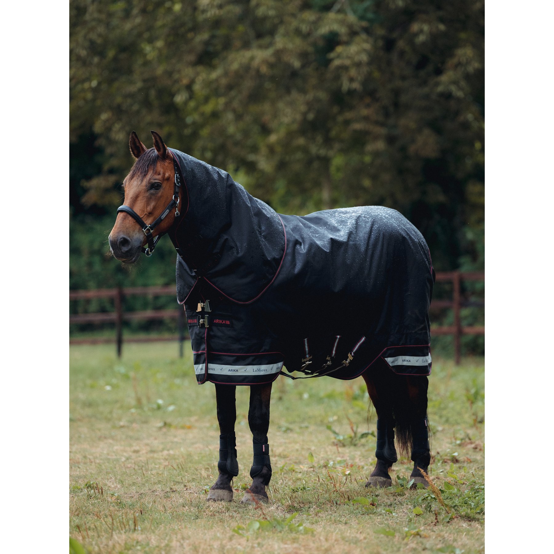 LeMieux Arika Storm-Tek 100g Horse Blanket, Black, 84-in