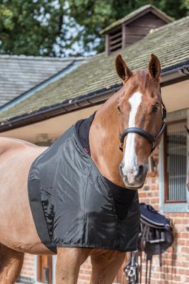 Show full view: LeMieux Anti Rub Bib Horse Turnout, Black, Large slide 2 of 6